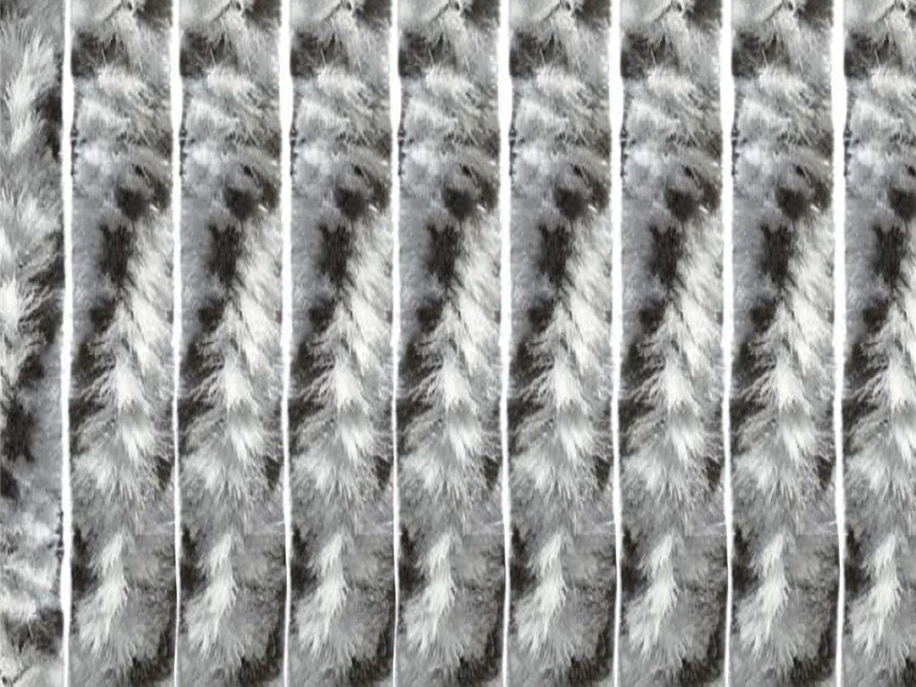 Vliegengordijn Camper/Caravan 56 x 185 cm